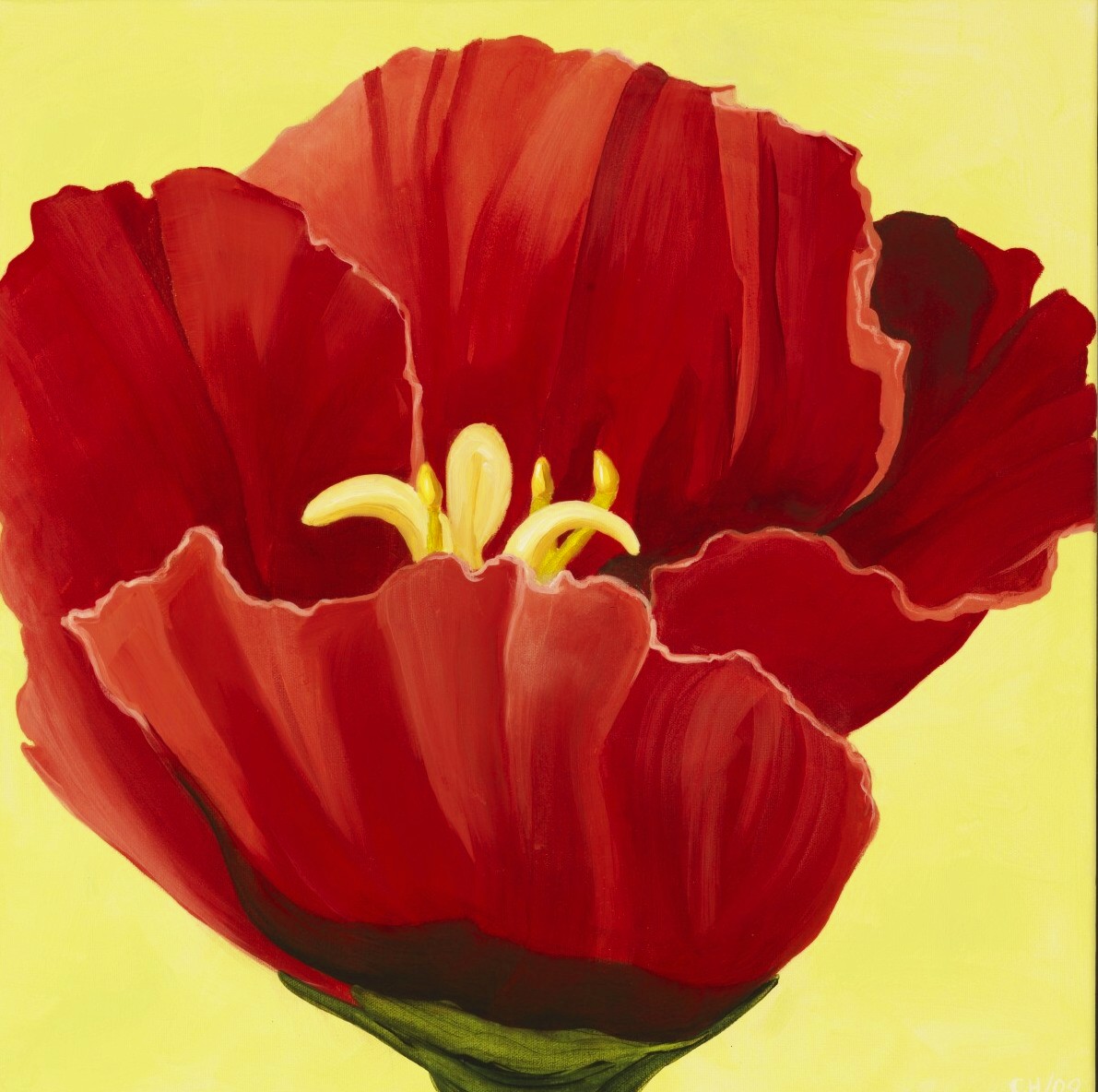 red wildflower 2, acrylic on canvas, 20 by 20", 2009