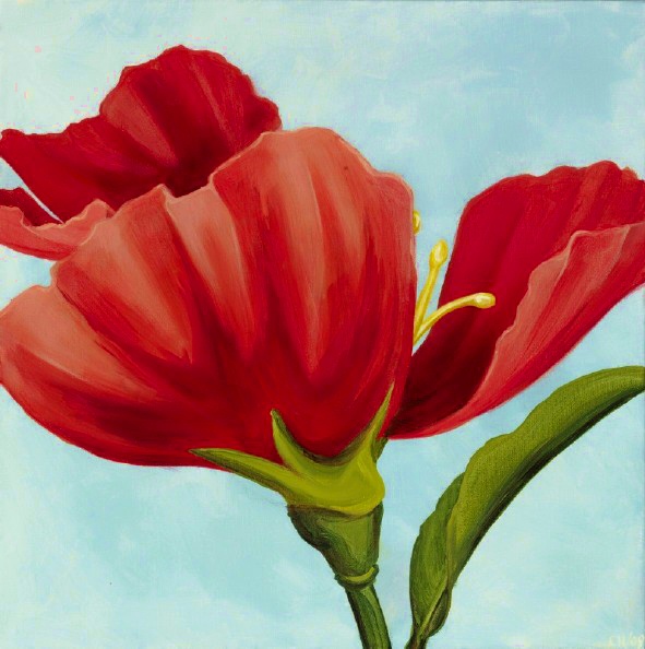 red wildflower 1, acrylic on canvas, 2009 (20" by 20")