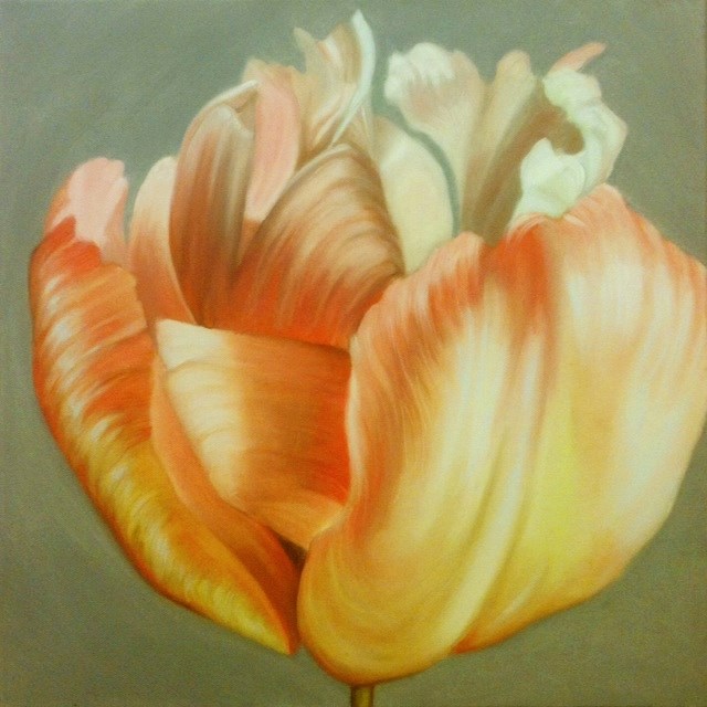 Tulip in the Sun (oil on canvas, 16x16 inches, 2014)